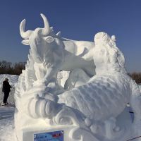 評論圖片 4