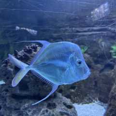 Zoo Aquarium de Madrid