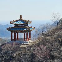 評論圖片 4