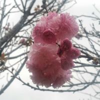 評論圖片 2
