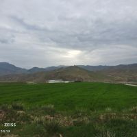 評論圖片 8