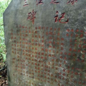 評論圖片 8