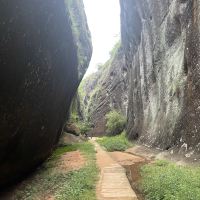 評論圖片 6