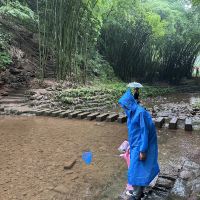 評論圖片 3