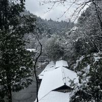 評論圖片 6