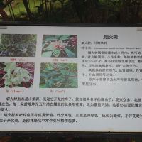 評論圖片 5