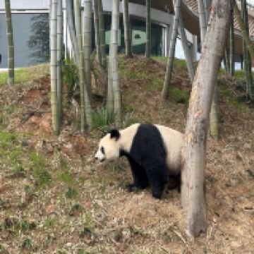 評論圖片 4