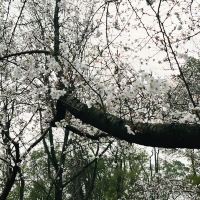 評論圖片 8