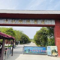 評論圖片 7