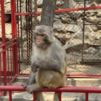 評論圖片 6