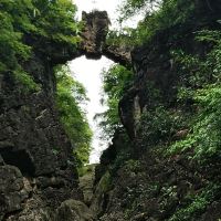 評論圖片 1