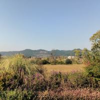 評論圖片 4