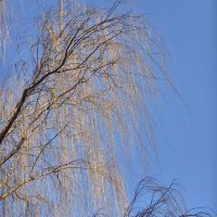 評論圖片 3