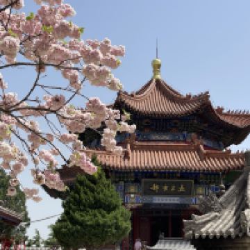 評論圖片 4