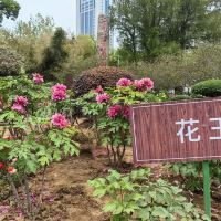評論圖片 8