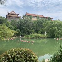 評論圖片 3