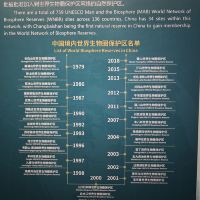 評論圖片 5