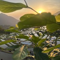評論圖片 3
