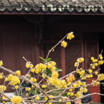 評論圖片 6