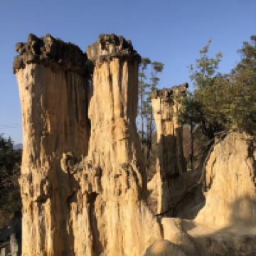 評論圖片 2
