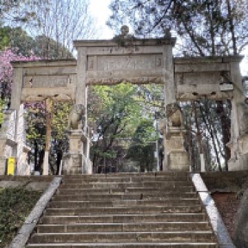 評論圖片 5