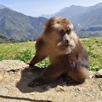 評論圖片 4