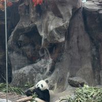 評論圖片 3