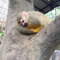 評論圖片 8
