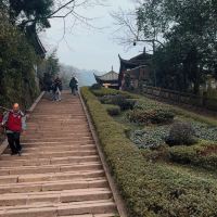 評論圖片 9