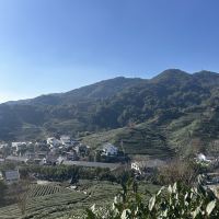 評論圖片 1