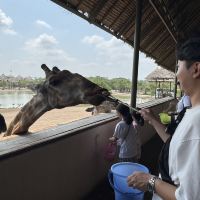 評論圖片 5
