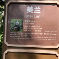 評論圖片 5