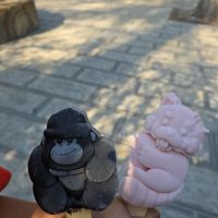 評論圖片 1