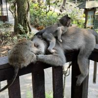 評論圖片 5