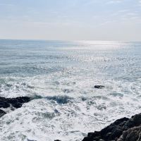 評論圖片 4
