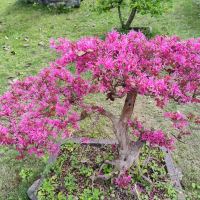 評論圖片 6