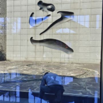 評論圖片 7