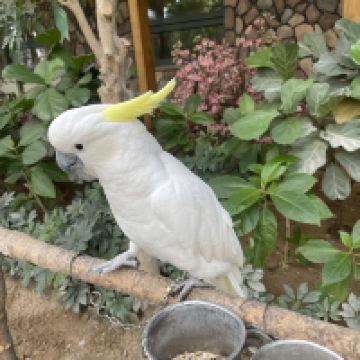 評論圖片 5