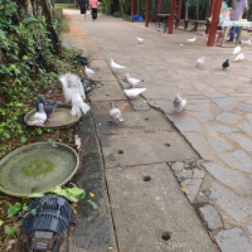 評論圖片 1