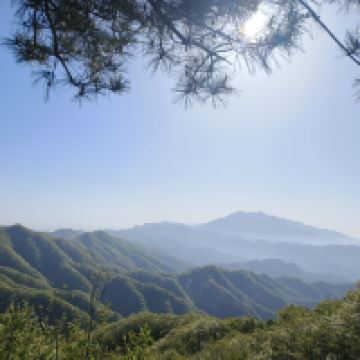 評論圖片 3