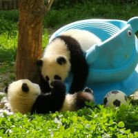 評論圖片 7