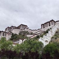 評論圖片 6
