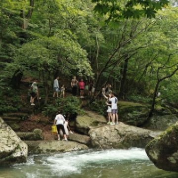 評論圖片 8