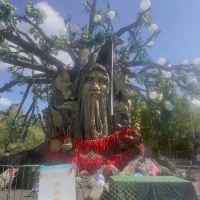 評論圖片 9