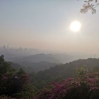 評論圖片 1