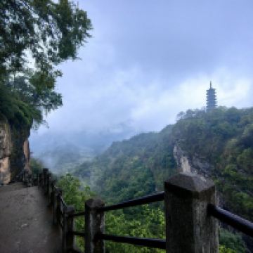 評論圖片 7