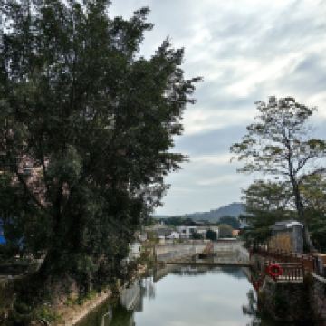 評論圖片 7