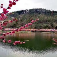 評論圖片 8