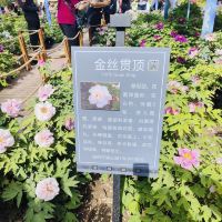 評論圖片 9
