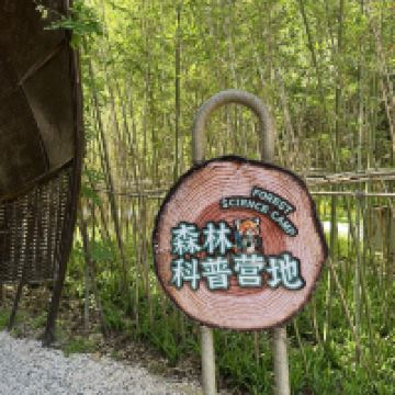 評論圖片 7